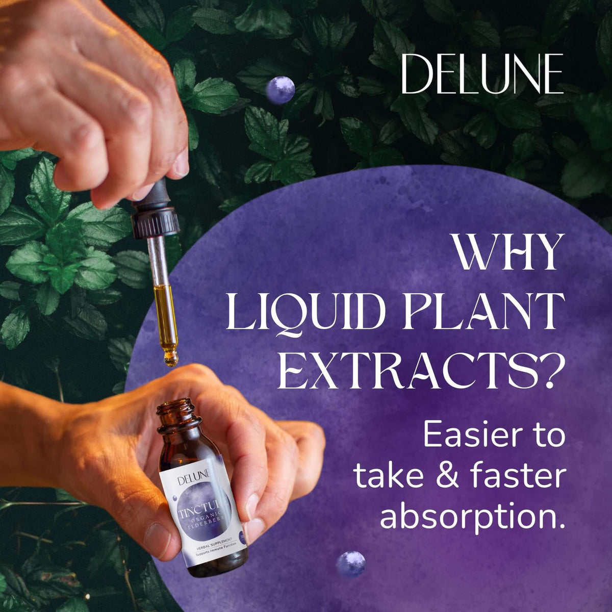 Organic Turmeric Herbal Tincture - Delune 
