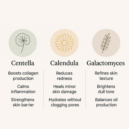 centella-calendula-galactomyces-skincare-benefits-infographic_721c0181-48a3-475f-9160-11fc809ecd8a - Delune 