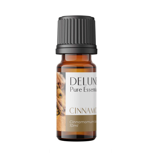 Cinnamon Pure Essential Oil - Delune 